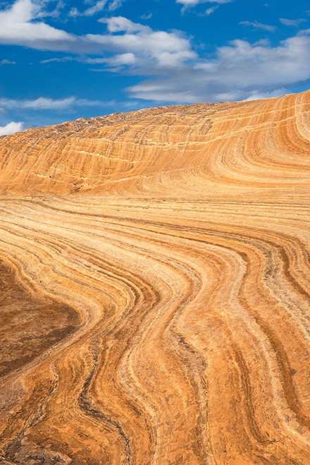 Coyote Buttes V Poster Print by Alan Majchrowicz - Item # VARPDX53284