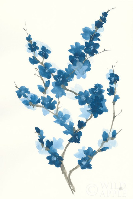 Blue Branch II Poster Print by Chris Paschke - Item # VARPDX55060