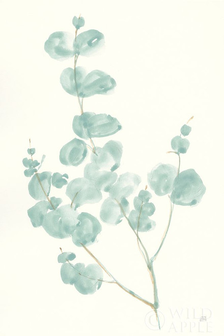 Eucalyptus Branch I Poster Print by Chris Paschke - Item # VARPDX55063
