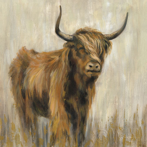 Highland Mountain Cow Poster Print by Silvia Vassileva - Item # VARPDX55090