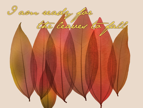 Harvest Light 1 Poster Print by Albert Koetsier - Item # VARPDXAK5RC105A3