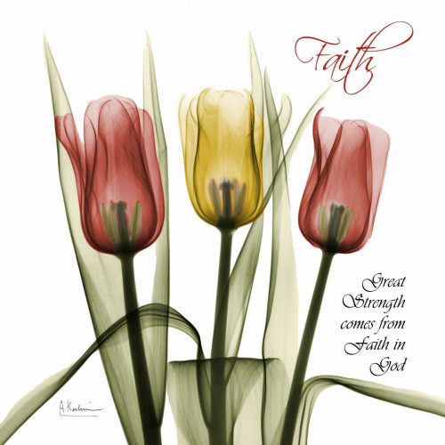 Faith Tulips Poster Print by Albert Koetsier - Item # VARPDXAK5SQ099H
