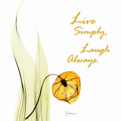 Live Laugh Sandersonia H51 Poster Print by Albert Koetsier - Item # VARPDXAK5SQ099M2