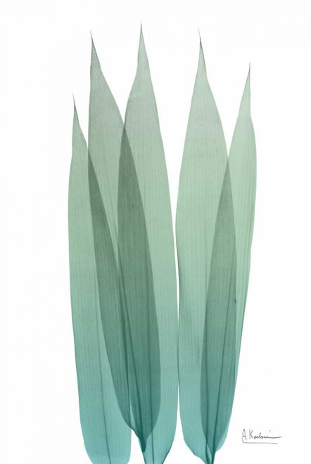 Radiant Bamboo Leaf 1 Poster Print by Albert Koetsier