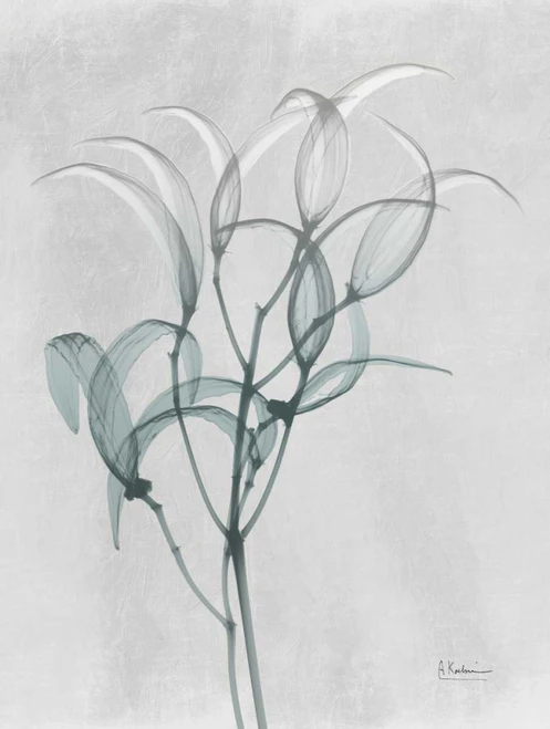 Emerald Oleander Bush Poster Print by Albert Koetsier