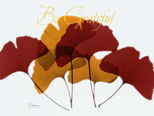 Grateful Gingko Fall Poster Print by Albert Koetsier