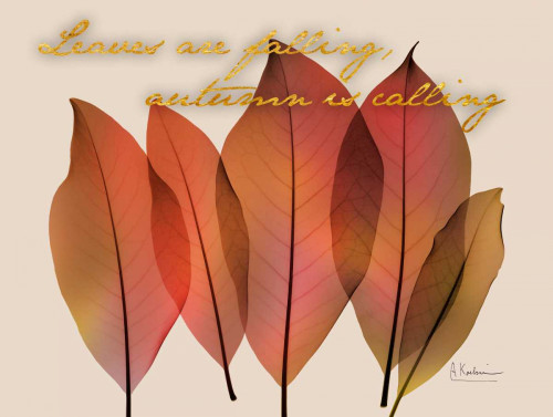 Harvest Calling Poster Print by Albert Koetsier - Item # VARPDXAK8RC059B