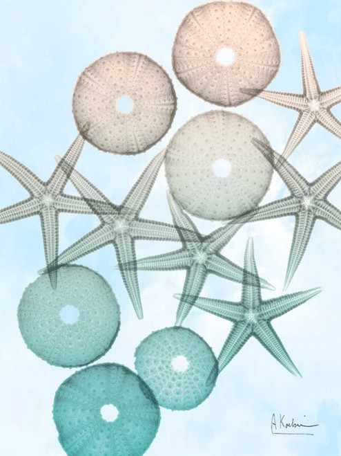 Underwater Sunshine 1 Poster Print by Albert Koetsier - Item # VARPDXAK8RC084A