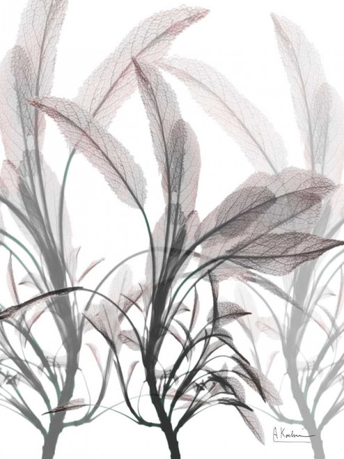 Plentiful Embrace 2 Poster Print by Albert Koetsier - Item # VARPDXAK8RC193B