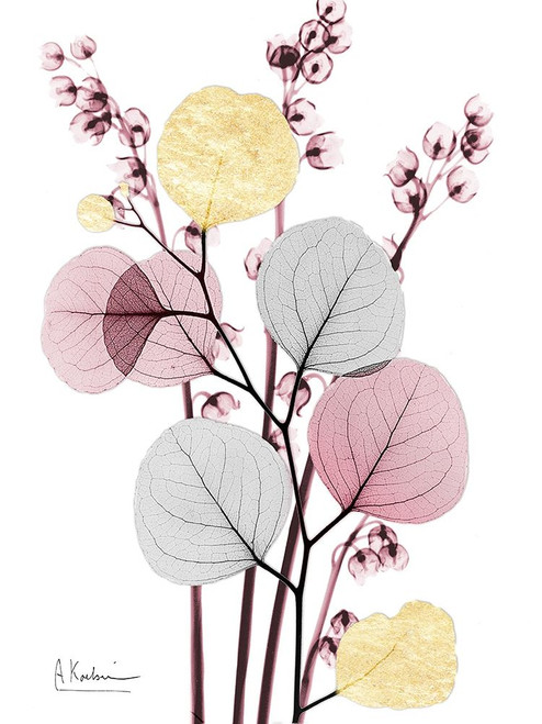 Blush Fusion 2 Poster Print by Albert Koetsier - Item # VARPDXAK8RC204B