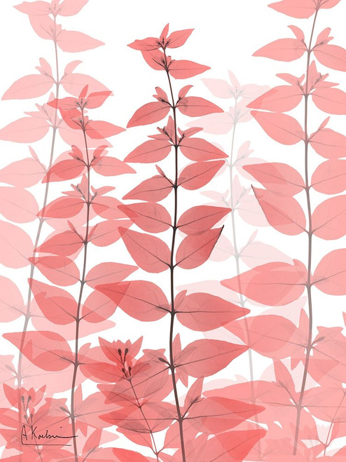 Plentiful Bunch 2 Poster Print by Albert Koetsier
