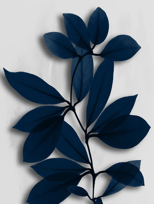 Azure Wonder 2 Poster Print by Albert Koetsier