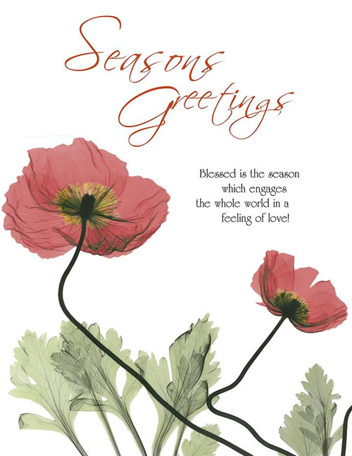 Holiday Poppies 1 Poster Print by Albert Koetsier - Item # VARPDXAK8RC576D