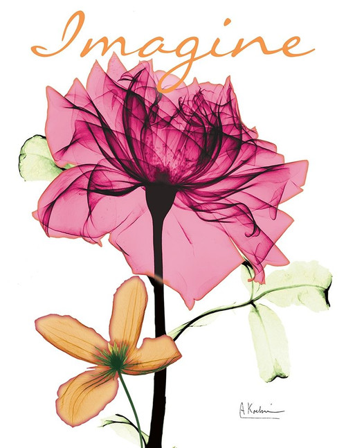 Imaginative Floral Poster Print by Albert Koetsier - Item # VARPDXAK8RC577B