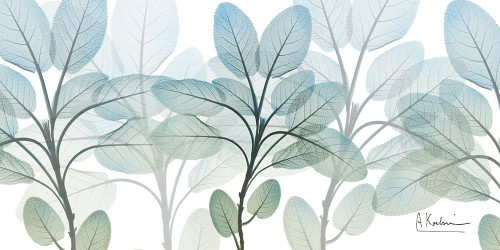Resilient Blooms 1 Poster Print by Albert Koetsier