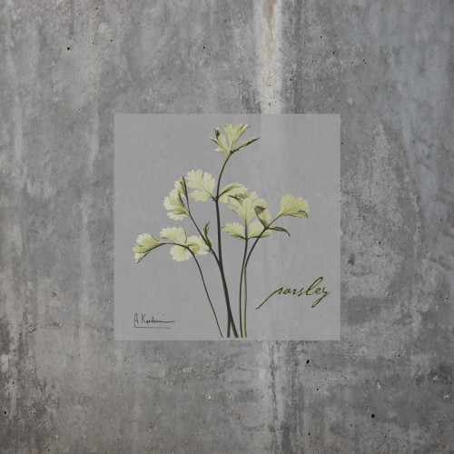 Concrete Parsley Poster Print by Albert Koetsier - Item # VARPDXAK8SQ028A