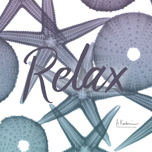 Relaxing Starfish Poster Print by Albert Koetsier
