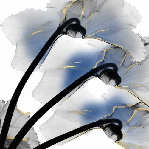 Indigo Luster Cyclamen Poster Print by Albert Koetsier - Item # VARPDXAK8SQ180A
