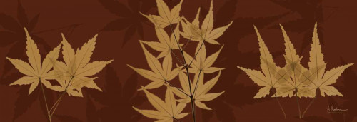 Leaves Brown on Red 3 Poster Print by Albert Koetsier - Item # VARPDXAKPL049A