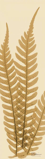 Tree Fern Brown on Beige Poster Print by Albert Koetsier