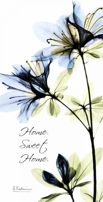 Azalea Poster Print by Albert Koetsier - Item # VARPDXAKPL080X