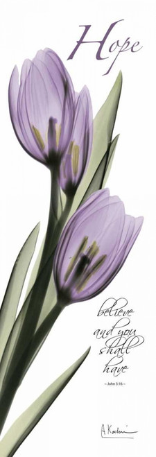 Tulips in Purple - Hope Poster Print by Albert Koetsier - Item # VARPDXAKPL085A2