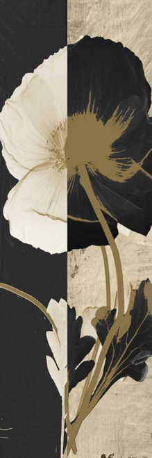 Iceland Poppy Poster Print by Albert Koetsier