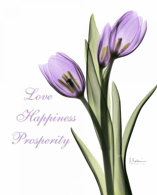 Purple Tulips Love Happiness Poster Print by Albert Koetsier
