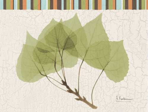 Trimmed Aspen Poster Print by Albert Koetsier