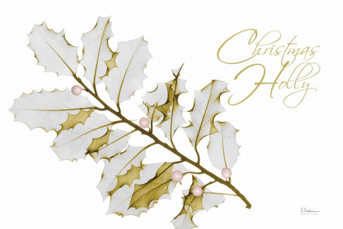 New Holly A L297 Poster Print by Albert Koetsier