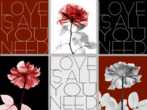 Rose Window 2 Poster Print by Albert Koetsier - Item # VARPDXAKXRC385B