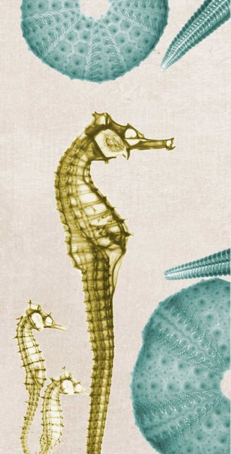 under The Sea 4 Poster Print by Albert Koetsier - Item # VARPDXAKXRC387B