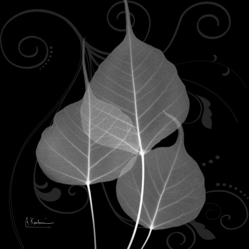 Bo Tree E158 Poster Print by Albert Koetsier