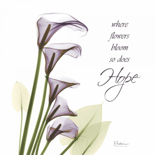 Swaying Callas - Hope Poster Print by Albert Koetsier - Item # VARPDXAKXSQ158A