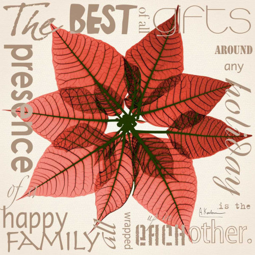 Poinsettia Poster Print by Albert Koetsier - Item # VARPDXAKXSQ341F