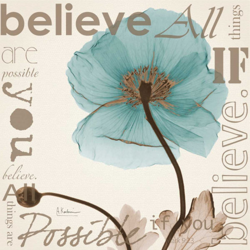 Believe - Blue Poppy Poster Print by Albert Koetsier - Item # VARPDXAKXSQ342B
