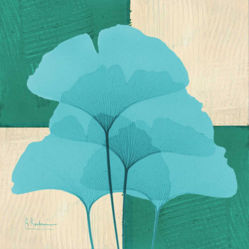Gingko E162 Poster Print by Albert Koetsier - Item # VARPDXAKXSQ370A