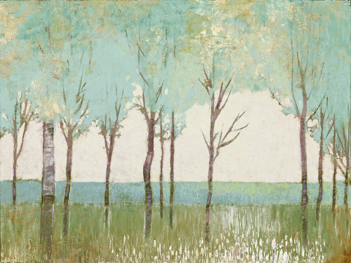 Evergreen Wanderlust I  Poster Print by Anthony Del Rizzo - Item # VARPDXAO012A