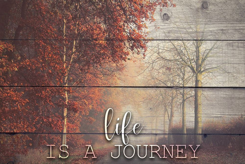 A Journey Poster Print by Ann Bailey - Item # VARPDXBARC047A
