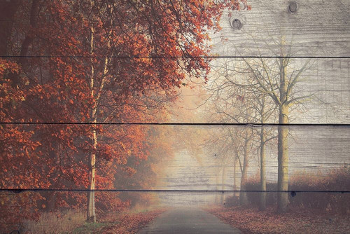 A Journey Poster Print by Ann Bailey - Item # VARPDXBARC053A