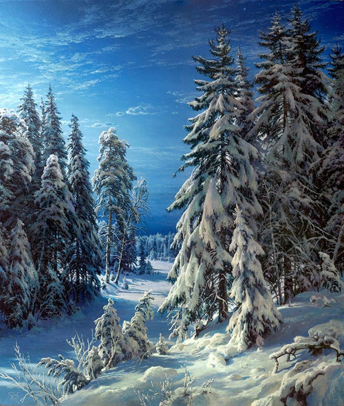 Winter night Poster Print by Sergej Basov - Item # VARPDXBC20