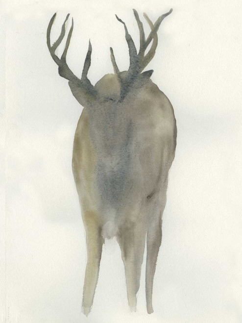 Solo Deer Poster Print by Beverly Dyer - Item # VARPDXBDRC121B