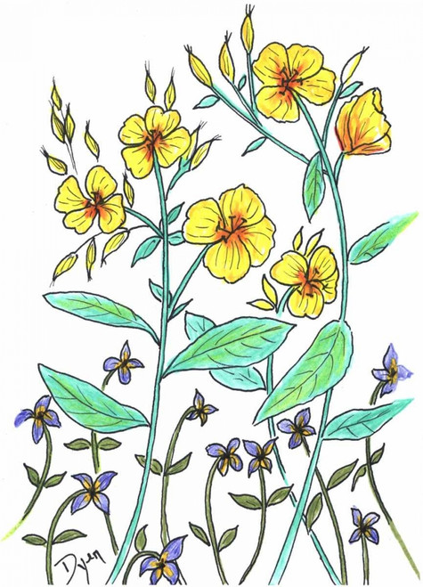 Sundrops Poster Print by Beverly Dyer - Item # VARPDXBDRC124H