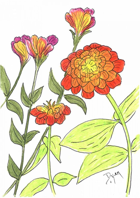 Zinnia Poster Print by Beverly Dyer - Item # VARPDXBDRC124M