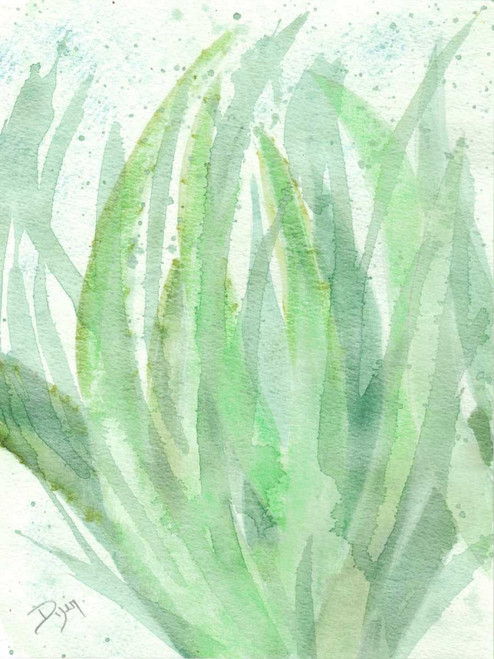 Into Green 1 Poster Print by Beverly Dyer - Item # VARPDXBDRC125A