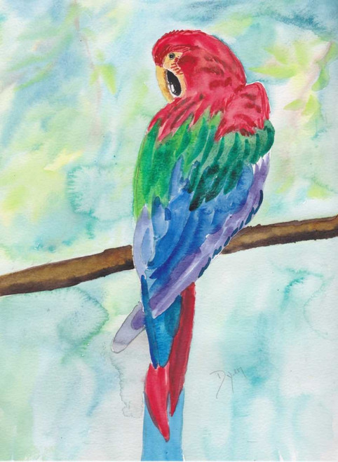 Tropical Perch I Poster Print by Beverly Dyer - Item # VARPDXBDRC138A