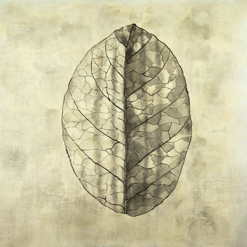 TRANSLUCENT Poster Print by Atelier B Art Studio Atelier B Art Studio - Item # VARPDXBEGFLO351