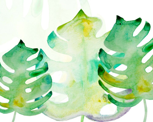 Green Monsteral 1 Poster Print by Boho Hue Studio Boho Hue Studio