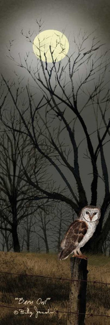 Barn Owl Poster Print by Billy Jacobs - Item # VARPDXBJ1073