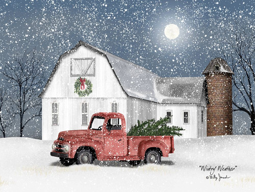 Wintry Weather Poster Print by Billy Jacobs - Item # VARPDXBJ1195